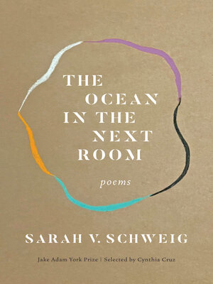 cover image of The Ocean in the Next Room